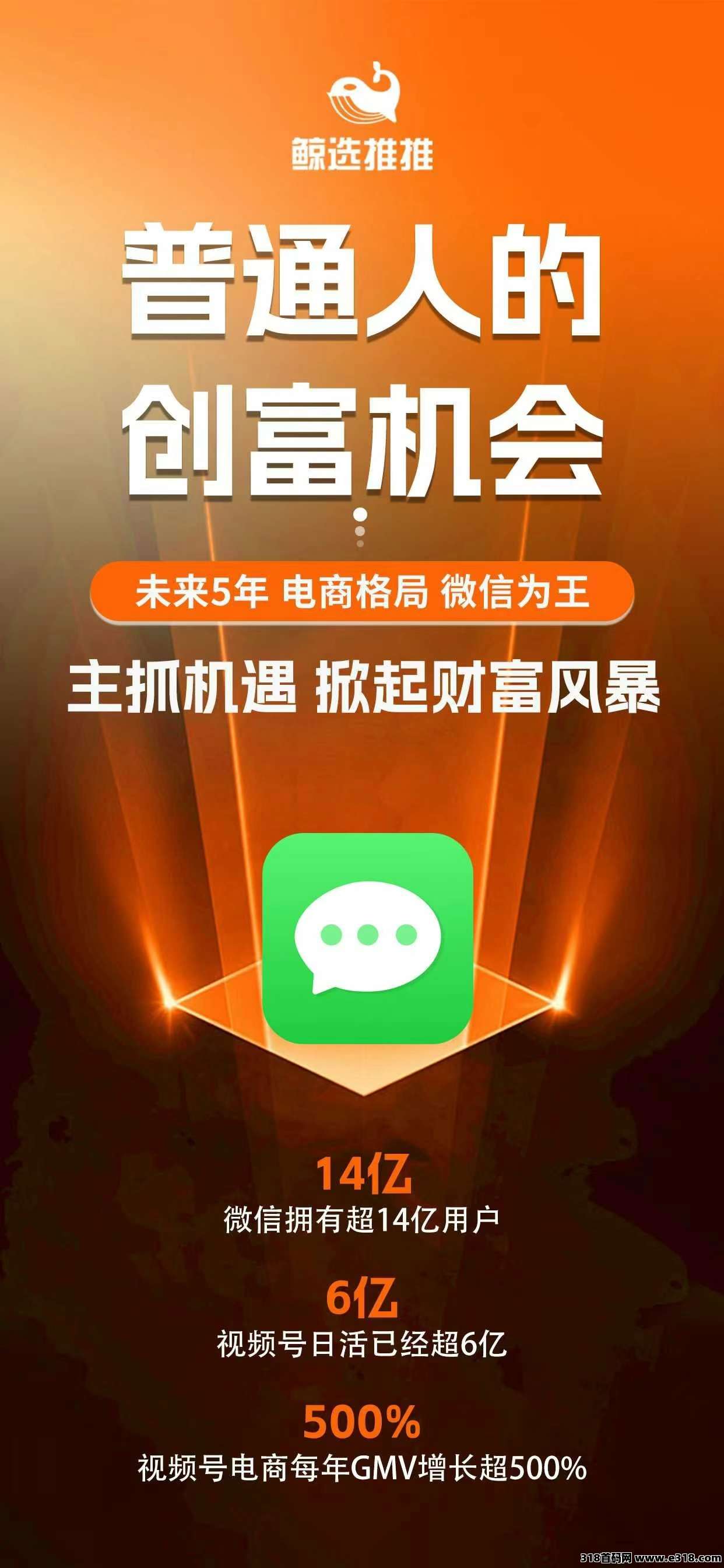风口项目鲸选推推，普通人创富路
