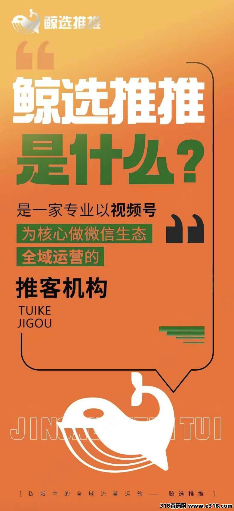风口项目鲸选推推，普通人创富路