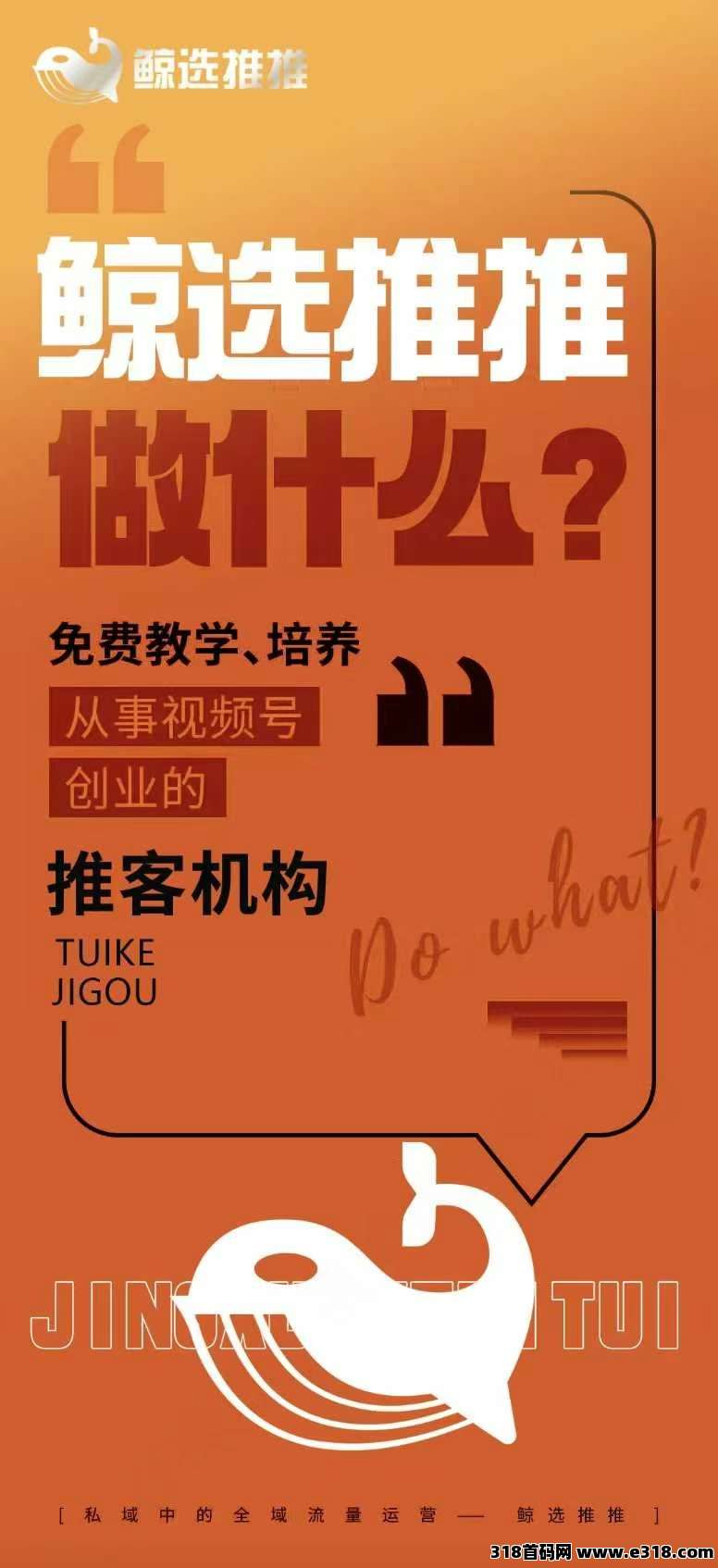 风口项目鲸选推推，普通人创富路