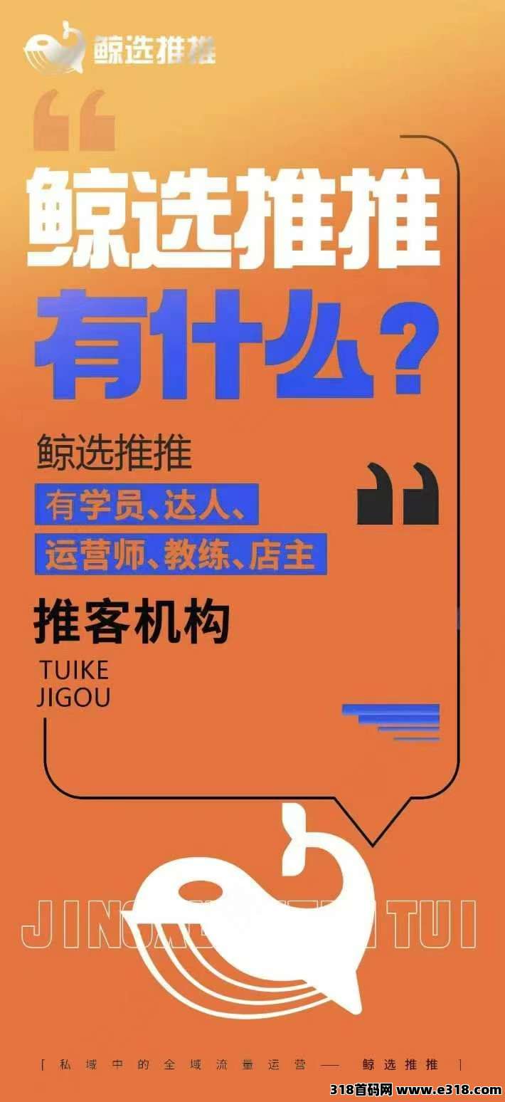 风口项目鲸选推推，普通人创富路