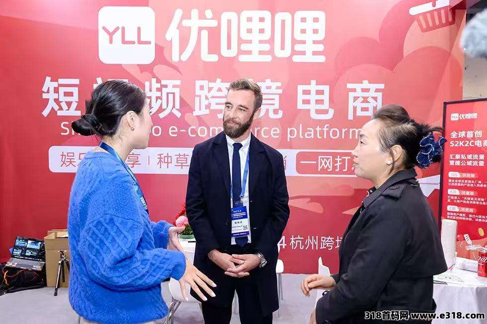 优哩哩，电商，直播等等（零撸对接团队），排线中